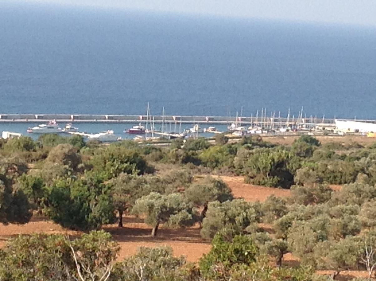 Kamp alanı The Enchanted Campsite Agia Trias